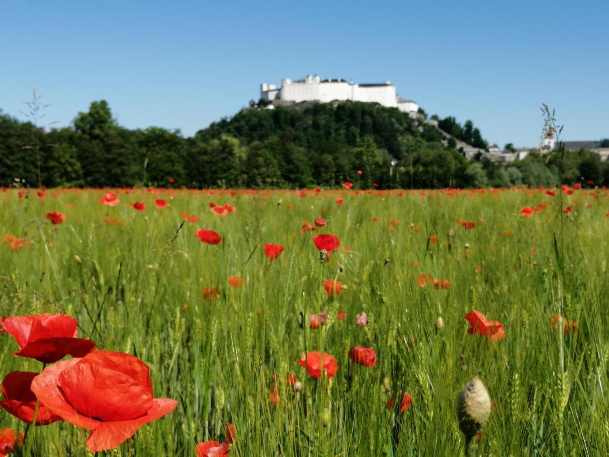 Pension Katrin Salzburg Luaran gambar